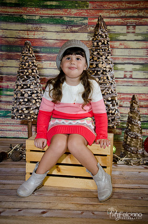 navidad 2014-2826