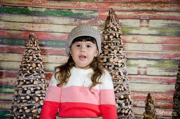 navidad 2014-2840