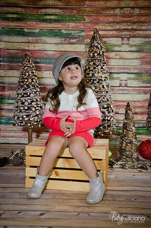 navidad 2014-2805