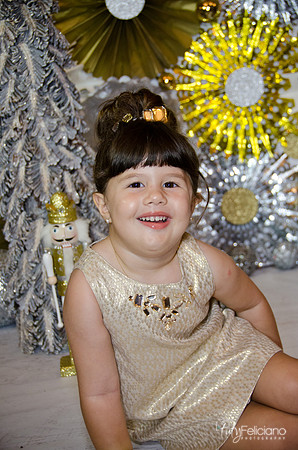 navidad 2014-2372