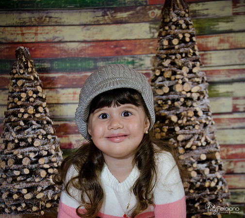 navidad 2014-2812