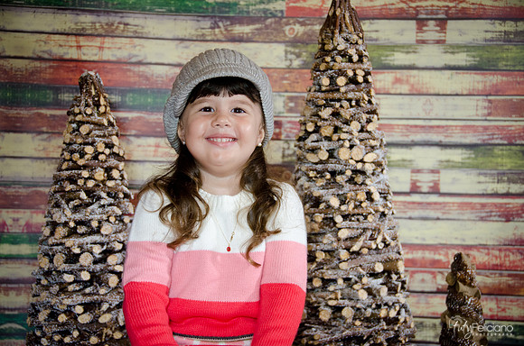 navidad 2014-2847
