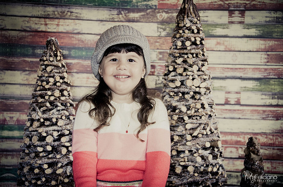 navidad 2014-2845