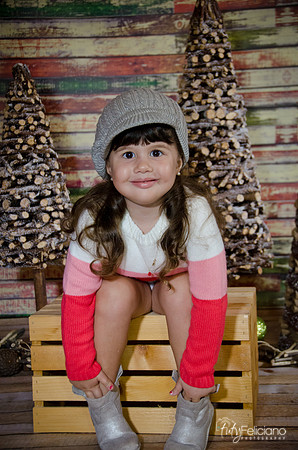 navidad 2014-2814