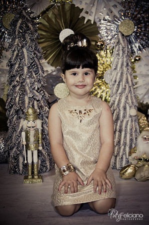 navidad 2014-2415