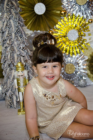 navidad 2014-2382