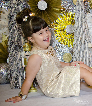 navidad 2014-2399