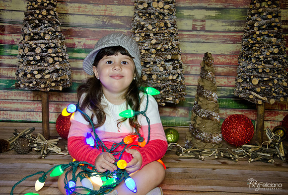 navidad 2014-2917