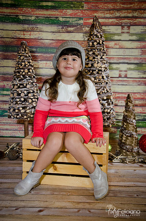 navidad 2014-2823