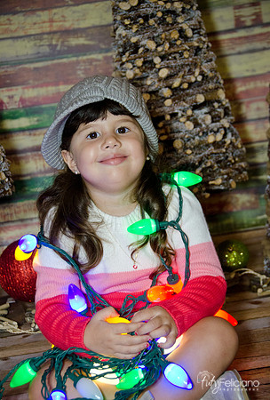 navidad 2014-2921