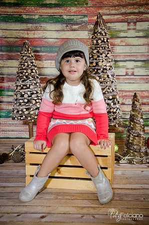 navidad 2014-2834