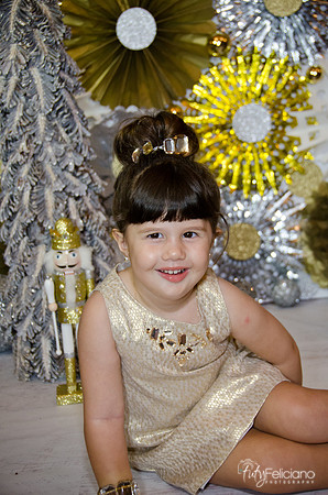 navidad 2014-2379