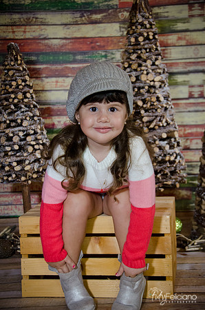 navidad 2014-2815