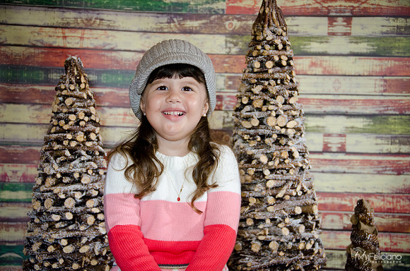 navidad 2014-2849
