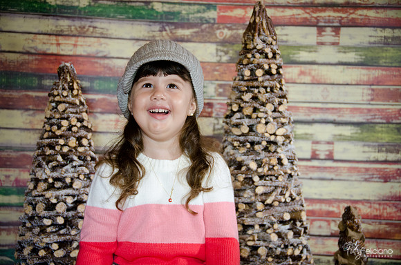 navidad 2014-2842