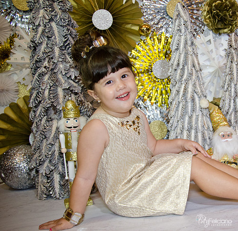 navidad 2014-2402