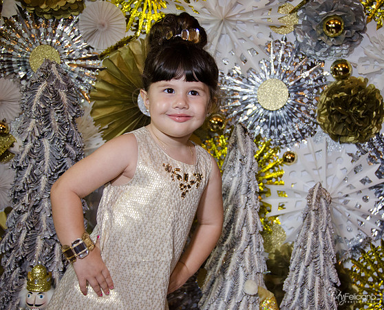 navidad 2014-2526