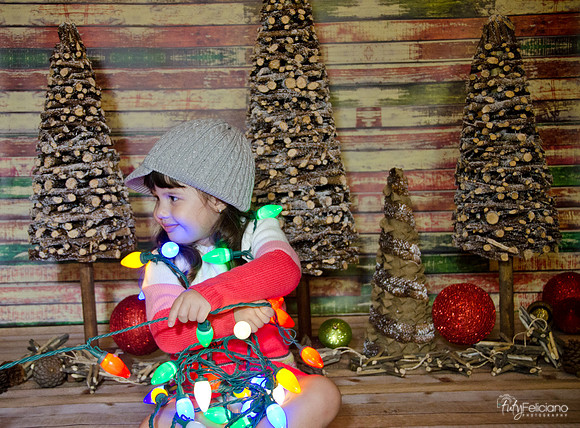 navidad 2014-2902