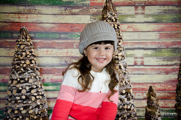 navidad 2014-2858