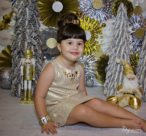 navidad 2014-2363