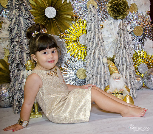 navidad 2014-2391