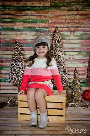 navidad 2014-2803