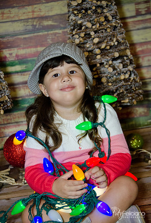 navidad 2014-2923