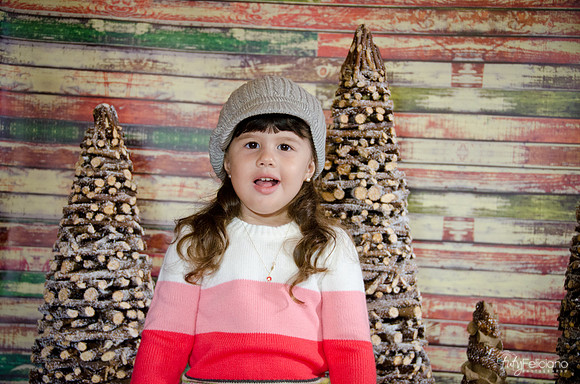 navidad 2014-2839