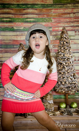navidad 2014-2869