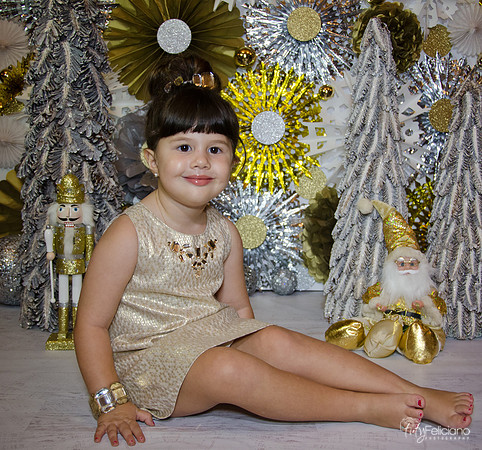 navidad 2014-2360