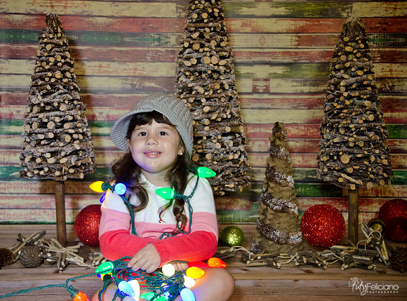navidad 2014-2906