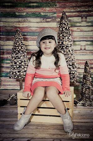 navidad 2014-2832