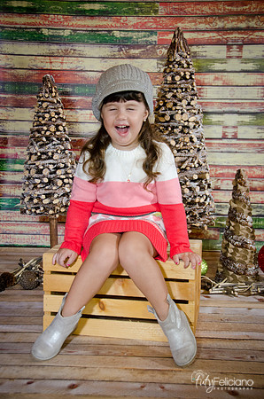navidad 2014-2835