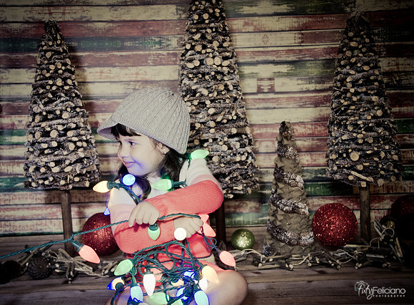 navidad 2014-2903