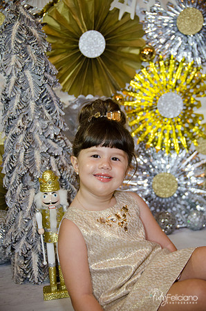 navidad 2014-2366