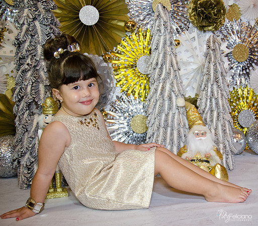 navidad 2014-2388