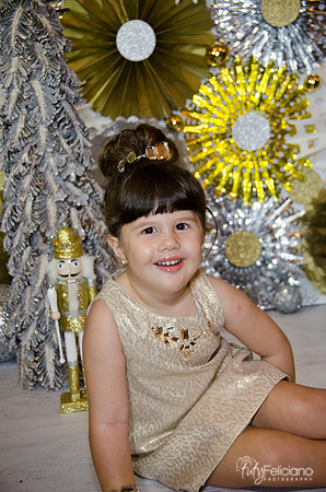 navidad 2014-2384