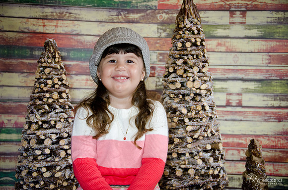 navidad 2014-2848