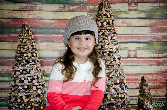 navidad 2014-2860