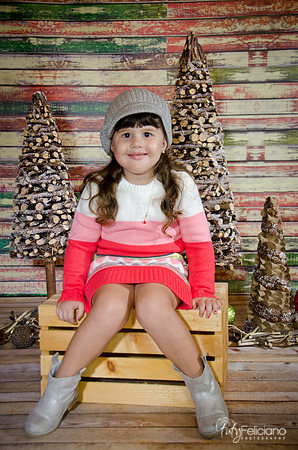 navidad 2014-2829