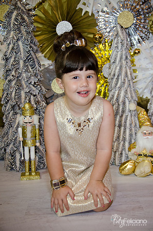 navidad 2014-2423