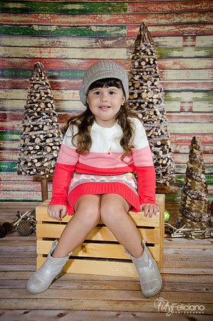 navidad 2014-2833