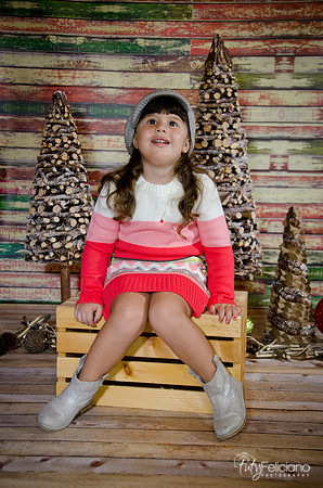 navidad 2014-2828