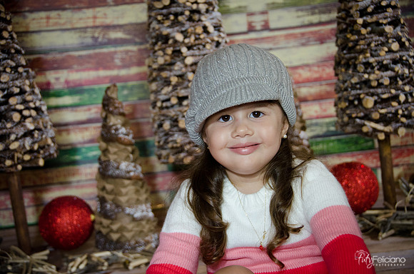 navidad 2014-2876