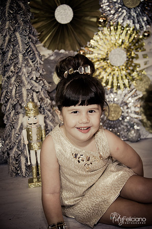 navidad 2014-2383