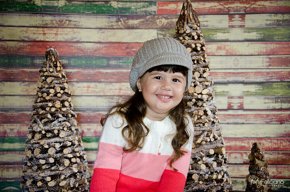 navidad 2014-2857