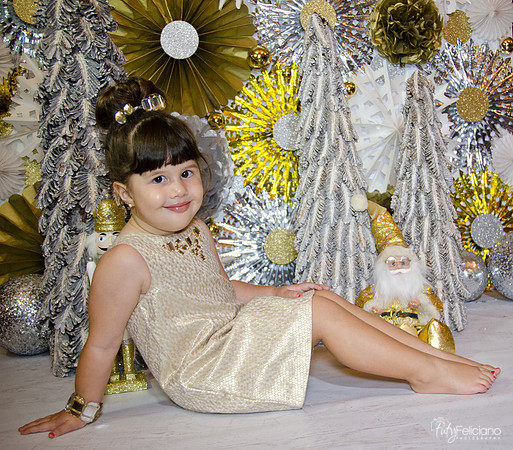 navidad 2014-2387