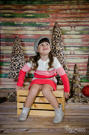 navidad 2014-2804