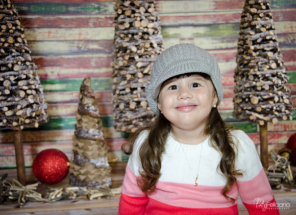 navidad 2014-2874