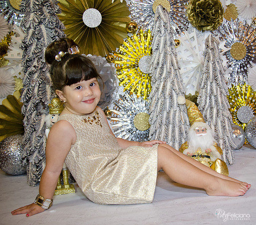 navidad 2014-2386